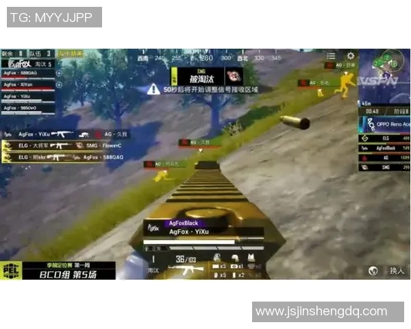 和平精英热议RNG意识争议引发S15LOL赛季讨论与反思