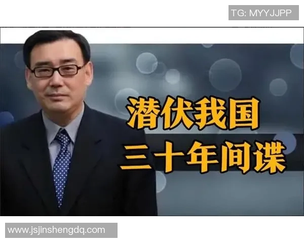 揭秘杨军成功之道探索英雄联盟背后的故事与策略