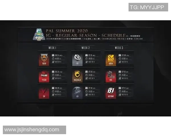 CSGO巨献揭秘IG战队的耐力与策略背后的故事实时数据